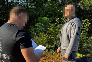 Знищили дерев на майже 7 млн грн: на Дніпропетровщині судитимуть екскерівника лісгоспу