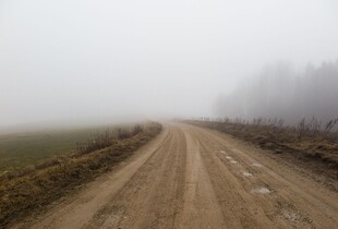 У ДСНС попередили про туман у низкі областей України - деталі