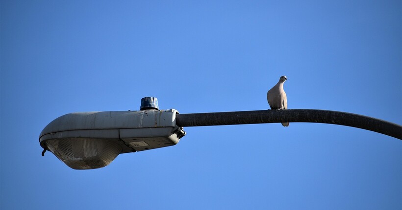 У частині Сумщини відсутнє світло через російські атаки: в ОВА поділились деталями