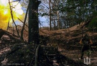 Українські воїни 