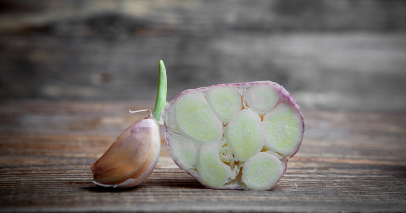 Часник почав проростати: як зупинити процес і зберегти головки