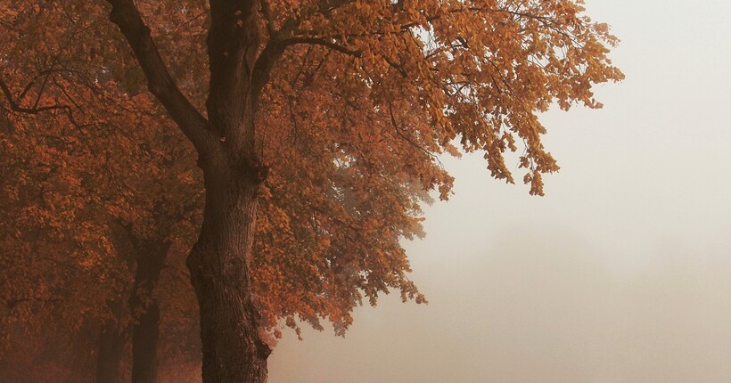 Україну накриють тумани: прогноз погоди на 6 листопада