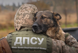 Тенденція спроб незаконного перетину кордону йде до зменшення - ДПСУ