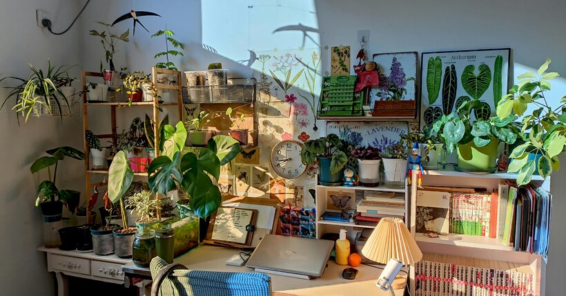 Більшість роблять все неправильно: як доглядати за вазонами восени та взимку