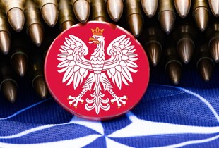 В Польщі планують підготувати пів мільйона добровольців для посилення оборони країни