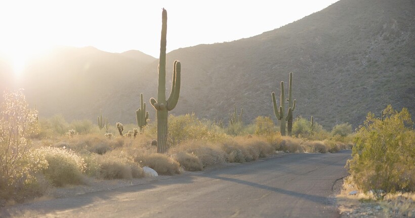 Глобальна температура у 2025 році є вищою на 1,4°C за доіндустріальну епоху