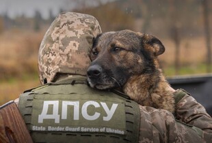 Рух міжнародних поїздів через кордон України працює у штатному режимі - ДПСУ