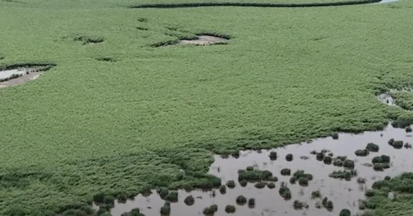 Сил оборони пояснили, як ворог використовує територію колишнього Каховського водосховища