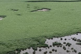 Сил оборони пояснили, як ворог використовує територію колишнього Каховського водосховища