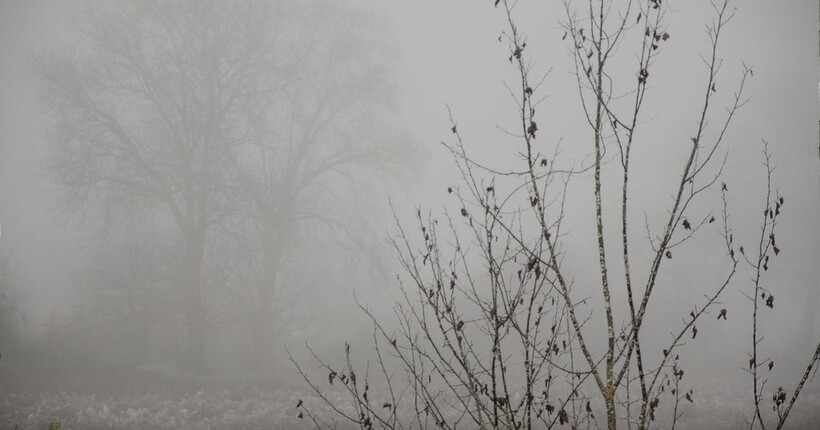 Надзвичайники попередили про туман 10 листопада