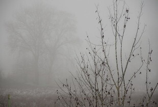 Надзвичайники попередили про туман 10 листопада