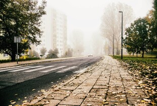 У Києві та області очікується туман: водіїв і пішоходів закликають до обережності