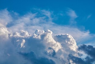 Туман та тепла погода чи похолодання та дощі: що чекати українцям 12 листопада