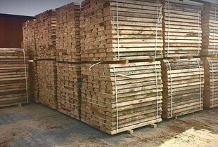 Контрабанда деревини на 2 млн грн: БЕБ провело 60 обшуків у Києві