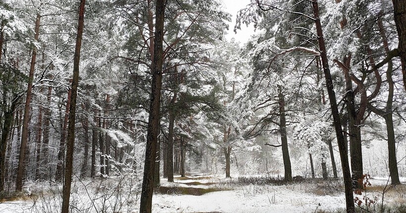 Ми допомагаємо українцям пережити ще одну воєнну зиму: у Німеччині розповіли про допомогу