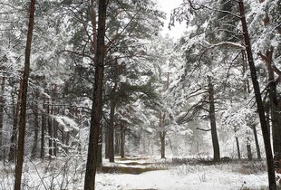 Ми допомагаємо українцям пережити ще одну воєнну зиму: у Німеччині розповіли про допомогу
