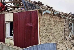 Запорізька область пережила 645 ударів за добу: одна людина загинула