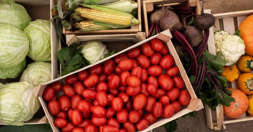 Що робити, щоб овочі не замерзали у льосі: дієві поради