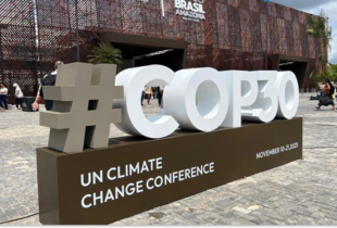 Україна вимагає виключити окуповані території з російських кліматичних звітів