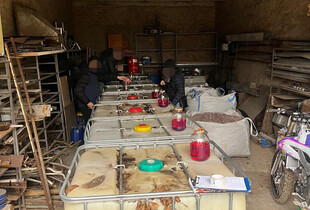 ДБР викрило схему розкрадання пального ЗСУ на 28 млн грн: вона діяла у п’яти областях