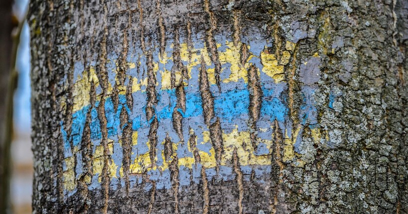 Зеленський: Україна повернула понад 1600 викрадених росією дітей, але шукають ще тисячі