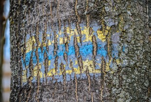 Зеленський: Україна повернула понад 1600 викрадених росією дітей, але шукають ще тисячі