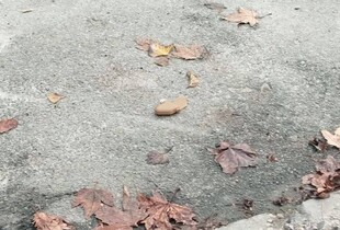 Росіяни замінували чотири вулиці Херсона: вибухівку знайшли біля лікарні