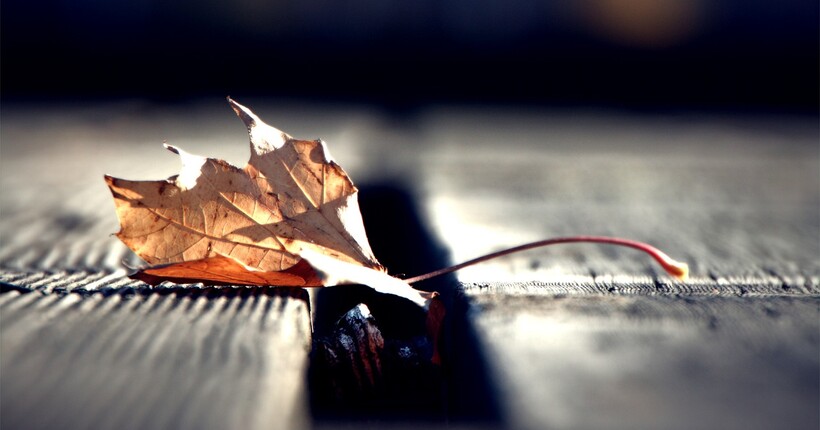 Погода 14 листопада в Україні – синоптикиня Діденко дала невтішний прогноз