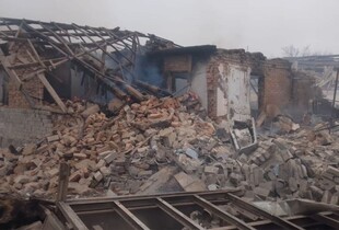 На Дніпропетровщині війська рф атакували ферму: загинули тварини