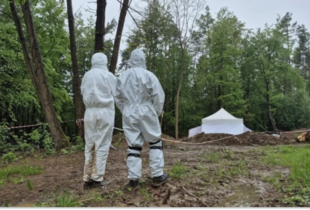 Польща розпочне пошукові роботи жертв Волинської трагедії на Рівненщині