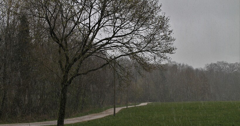 В Україні потепліє: прогноз погоди на 17 листопада