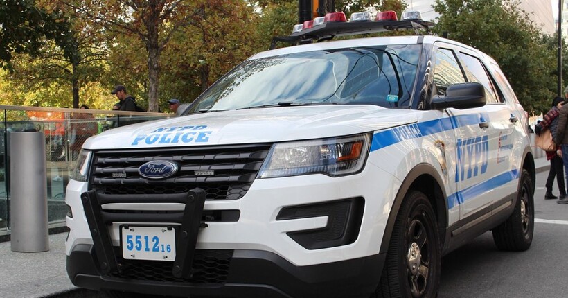 В США собака випадково поранив господаря з рушниці: деталі інциденту