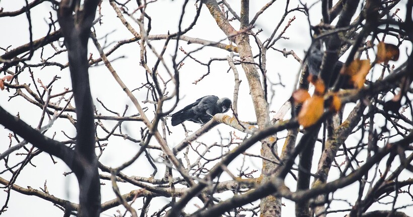 В Україну суне похолодання: прогноз погоди на 18 листопада