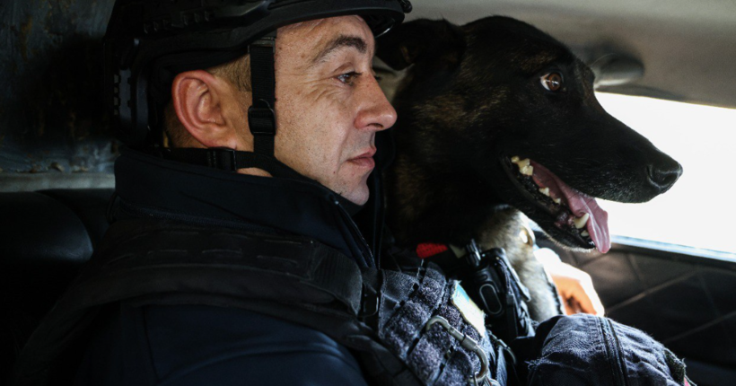 Сапери ДСНС продовжують розмінування Херсона: службовий пес Арні допомагає виявляти вибухівку (фото)