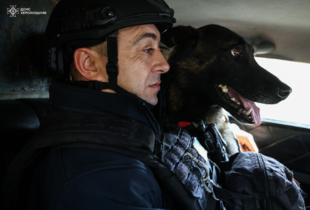 Сапери ДСНС продовжують розмінування Херсона: службовий пес Арні допомагає виявляти вибухівку (фото)