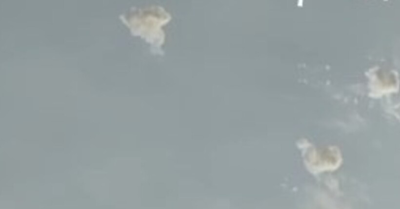 ЗСУ вперше вдарили ракетами ATACMS по території росії