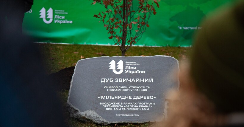 В Україні висадили мільярдне дерево за програмою президента 