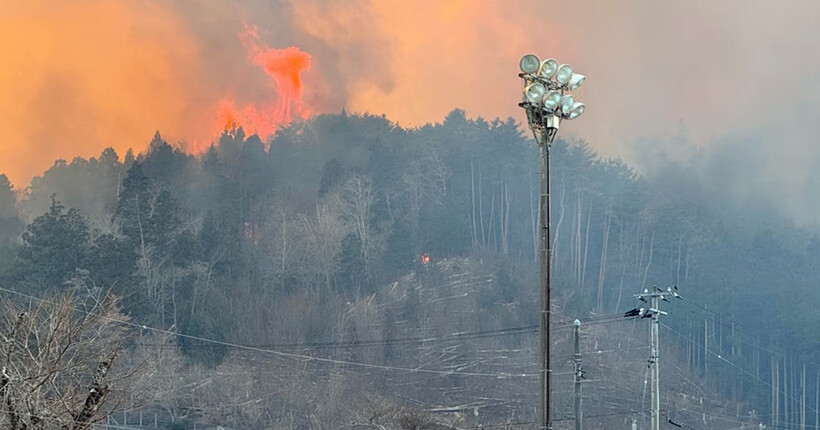 В Японії вирує масштабна пожежа: вогонь знищив 170 будівель
