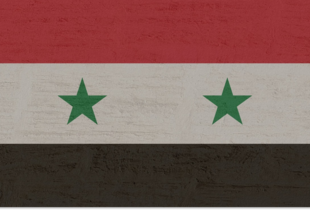 Сирійська урядова делегація прибула в Україну на продовольчий саміт