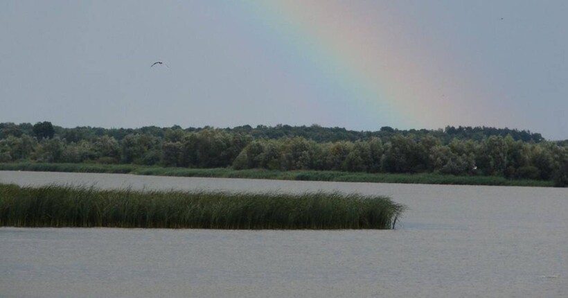 На Львівщині державі повернули 667 га водосховища: його незаконно використовували бізнесмени 