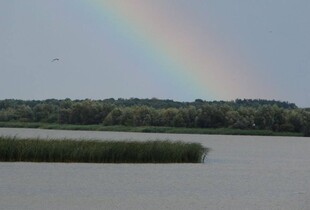 На Львівщині державі повернули 667 га водосховища: його незаконно використовували бізнесмени 