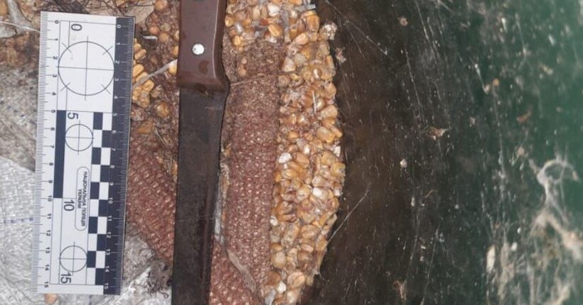 На Харківщині сусід з ножем напав на сусідку: яка причина