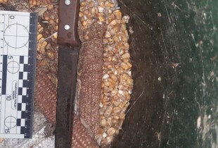 На Харківщині сусід з ножем напав на сусідку: яка причина