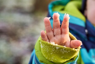 Мокрий сніг та ожеледиця: якою буде погода в Україні 23 листопада 