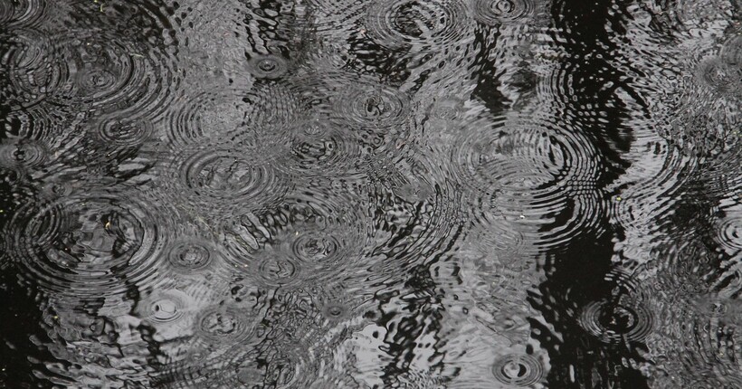 Синоптикиня Діденко розповіла, в яких регіонах дощитиме 24 листопада