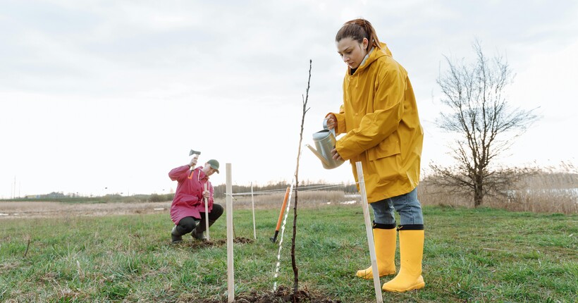 Полив саду в грудні: коли це необхідно і як правильно робити