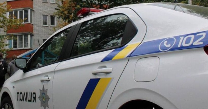 У Києві неповнолітній викинув сусідського кота з вікна багатоповерхівки