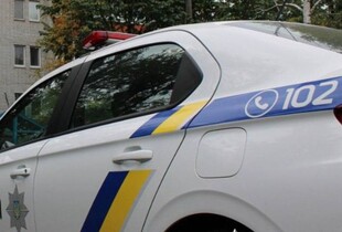 У Києві неповнолітній викинув сусідського кота з вікна багатоповерхівки