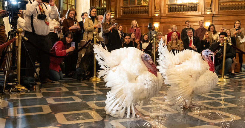 Трамп відкриває сезон свят церемонією помилування індички (трансляція)