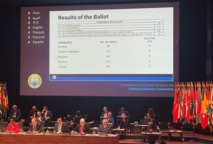 Україна отримала місце у виконавчій раді ОЗХЗ, росію не допустили вже втретє